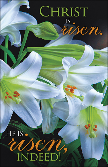 Christ is Risen Bouquet of White Easter Lilies - anchor store